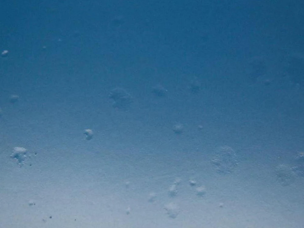 Фото: підводний вигляд піщаного морського дна з окремими кораловими або скельними утвореннями.